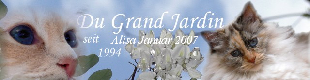 Alisa Januar 2007