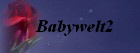 Babywelt2