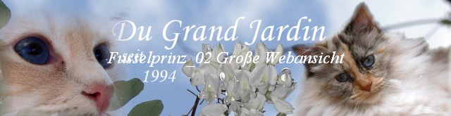 Fusselprinz_02 Gro�e Webansicht