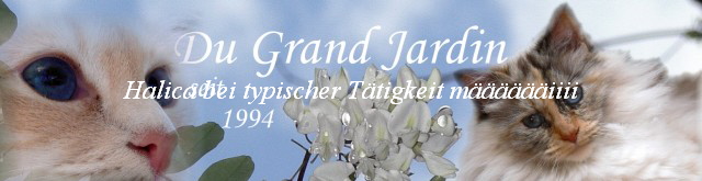 Halica bei typischer T�tigkeit m������iiii