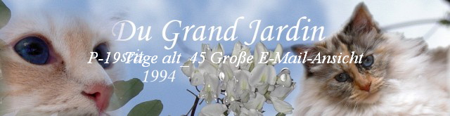 P-19 Tage alt_45 Groe E-Mail-Ansicht