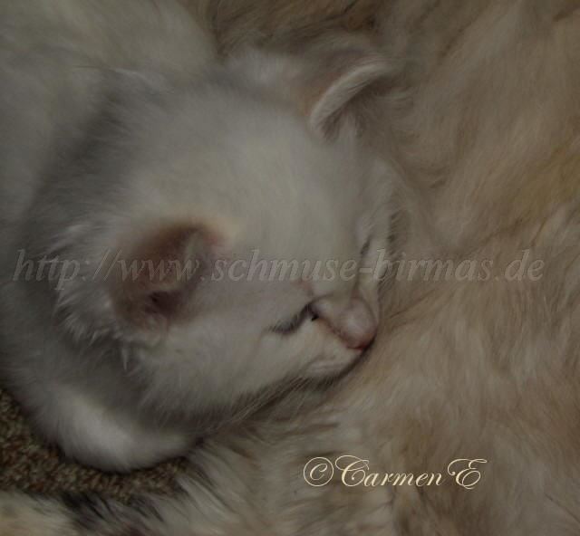 IMG_1229 Gro�e Webansicht