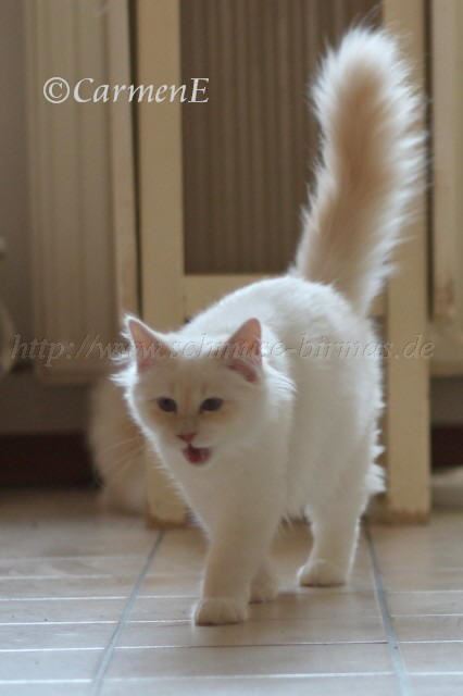 IMG_2001 Gro�e Webansicht