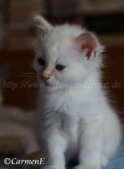 IMG_5102 Gro�e Webansicht