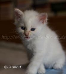 IMG_5105 Gro�e Webansicht