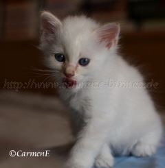 IMG_5106 Gro�e Webansicht