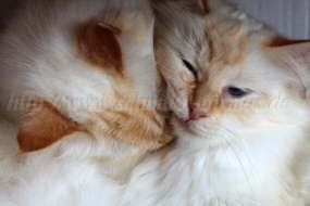 P-19 Tage alt_45 Groe E-Mail-Ansicht