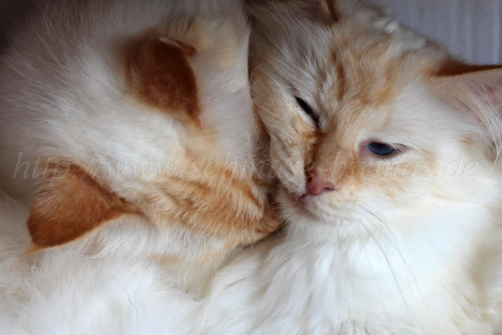 P-19 Tage alt_45 Groe E-Mail-Ansicht